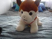 Piesek z dzwonkiem 25 cm