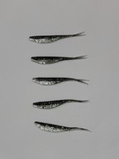 Zestaw 5 szt. Jaskółka 7 cm