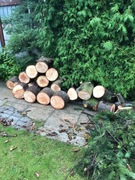 Drewno opałowe - Sosna 4 m³