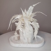 Zestaw dekoracyjny z roślinami 