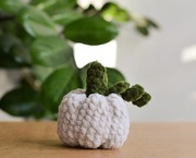 Pluszowa szara dynia szydełko rękodzieło