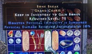  PERF Physical Kościane Przełamanie Bone Break 10 % Diablo 2 D2r NL PC