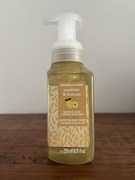 Sunshine & Lemons - nowe mydło do rąk w piance 259 ml Bath & Body Works