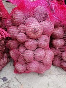 Burak  10 kilo prosto z gospodarstwa wysyłka paczkomat