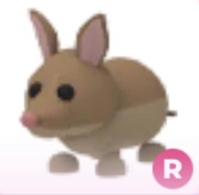 Bandicoot R - Adopt Me Roblox