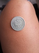 1zl rok 1966 monety z PRLu