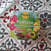 Podłoże do storczyków z doniczką 
