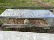 Terrarium dla gada