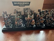 Warhammer Old World Dwarfs Dwarfen Mountains Holds Longbeards
