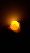 Lampka Nocna z Uroczym Kurczakiem