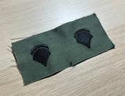 Naszywka - US Army - Specialist 5 E-5 (SP2) - para