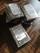 Dysk HDD Seagate 250GB SATA 3,5