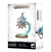 Magister on Disc of Tzeentch warhammer AOS