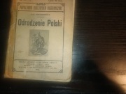 Odrodzenie Polski rok 1914