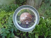 Sito ogrodowe do przesiewania, stal nierdzewna