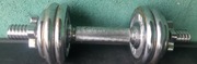 Metalowy hantel 5kg