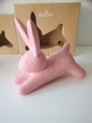 Rosenthal Rabbits 2 Zajace roz,kasztan lezace,Wielkanoc