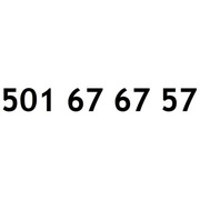 ZŁOTY NUMER 501 67 67 57