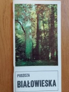 Puszcza Białowieska 1981 r