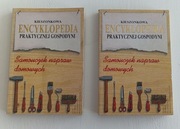 Kieszonkowa encyklopedia praktycznej gospodyni