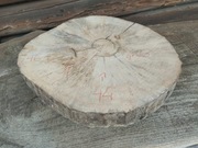 Plaster drewna 40cm Piękny Suchy bez kory Solidny DIY Plastry Wybór sztuki