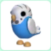 Parakeet- Adopt Me Roblox