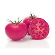 Pomidor Pink Dream F1 - Nasiona Holenderskie