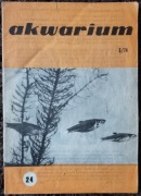 Czasopismo PZA Akwarium Nr. 24