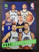 Panini Top Class 2024 NBA Pure Basketball 266