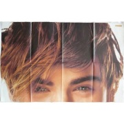 One Republic Leona Lewis Zac Efron - Plakat Poster