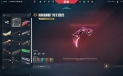 Konto Valorant  | 180+ |  Champions 2024 & Arcane | FULL ACCESS