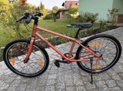 Rower bungi 24 pasek