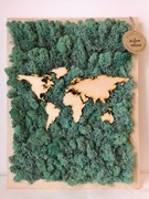 Obraz mech chrobotek 40x50 cm mapa świata