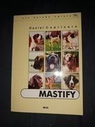 MASTIFY poradnik