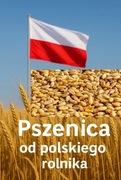 Pszenica ziarno karma pasza dla gołego kur kaczek ptaków ryb zanęta 10 kg