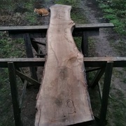 deska tarcica orzech włoski orzecha włoskiego 9