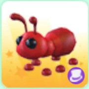 Ant- Adopt Me Roblox