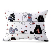 Poduszka z Lawendą i Gryką - od producenta