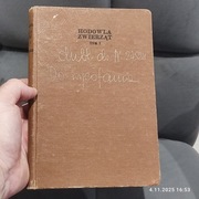 Toruń 2 RP Hodowla Zwierząt Koń 