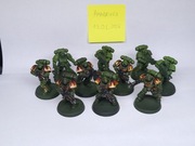 SM Intercessor Squad 10x MALOWANIE SALAMANDERS (Indomitus Box)