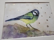 Sikorka , akwarela na papierze
