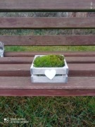 OZDOBY Z MCHU PODUSZKOWEGO 