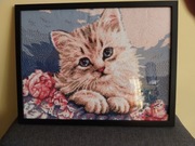 Piękny kotek dla miłośników zwierząt