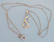 Naszyjnik srebrny: łańcuszek z zawieszką literka S