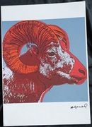 Andy Warhol Bighorn Ram sygn i num 35x50cm