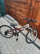 Rower Unibike NAVIGATOR 