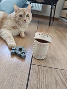 Kości do gry z kubeczkiem. Kościany poker