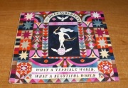 THE DECEMBERISTS - What A Terrible World, What A Beautiful World, EXC