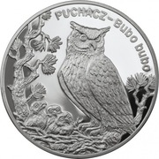 20 zł  Puchacz  Bubo bubo Ag
