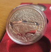 Srebrna moneta 20 zł ropucha paskówka